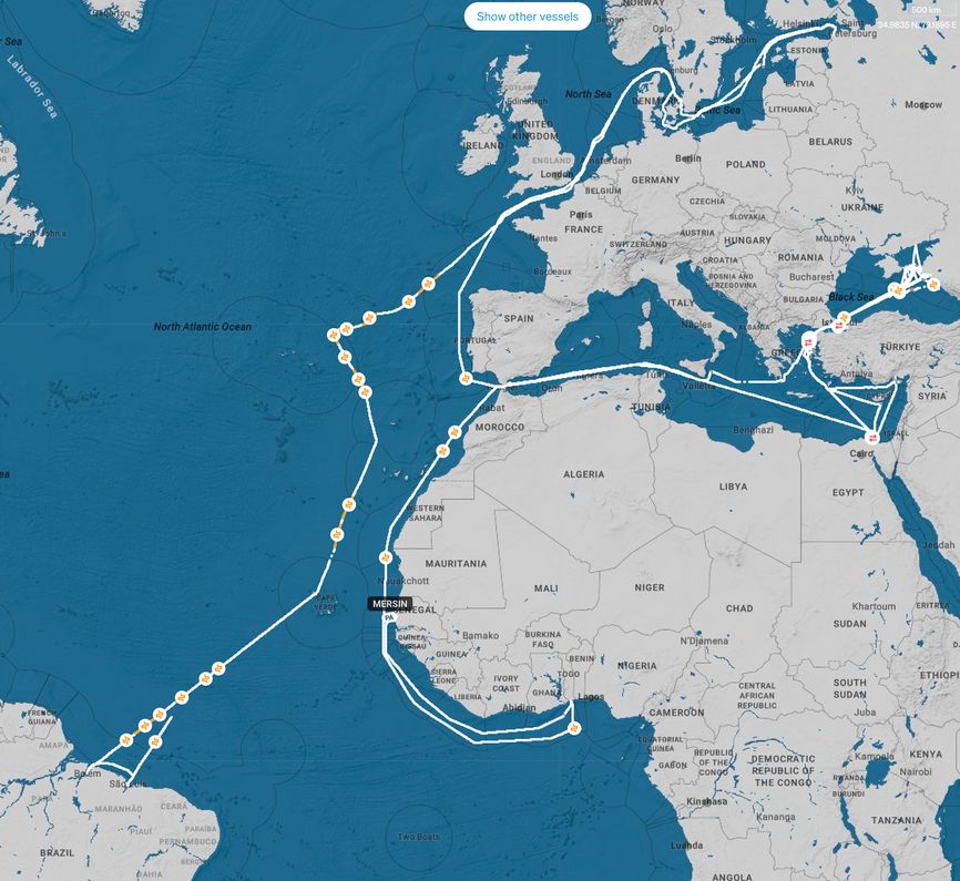 Передвижения танкера MERSIN с января 2025 года.