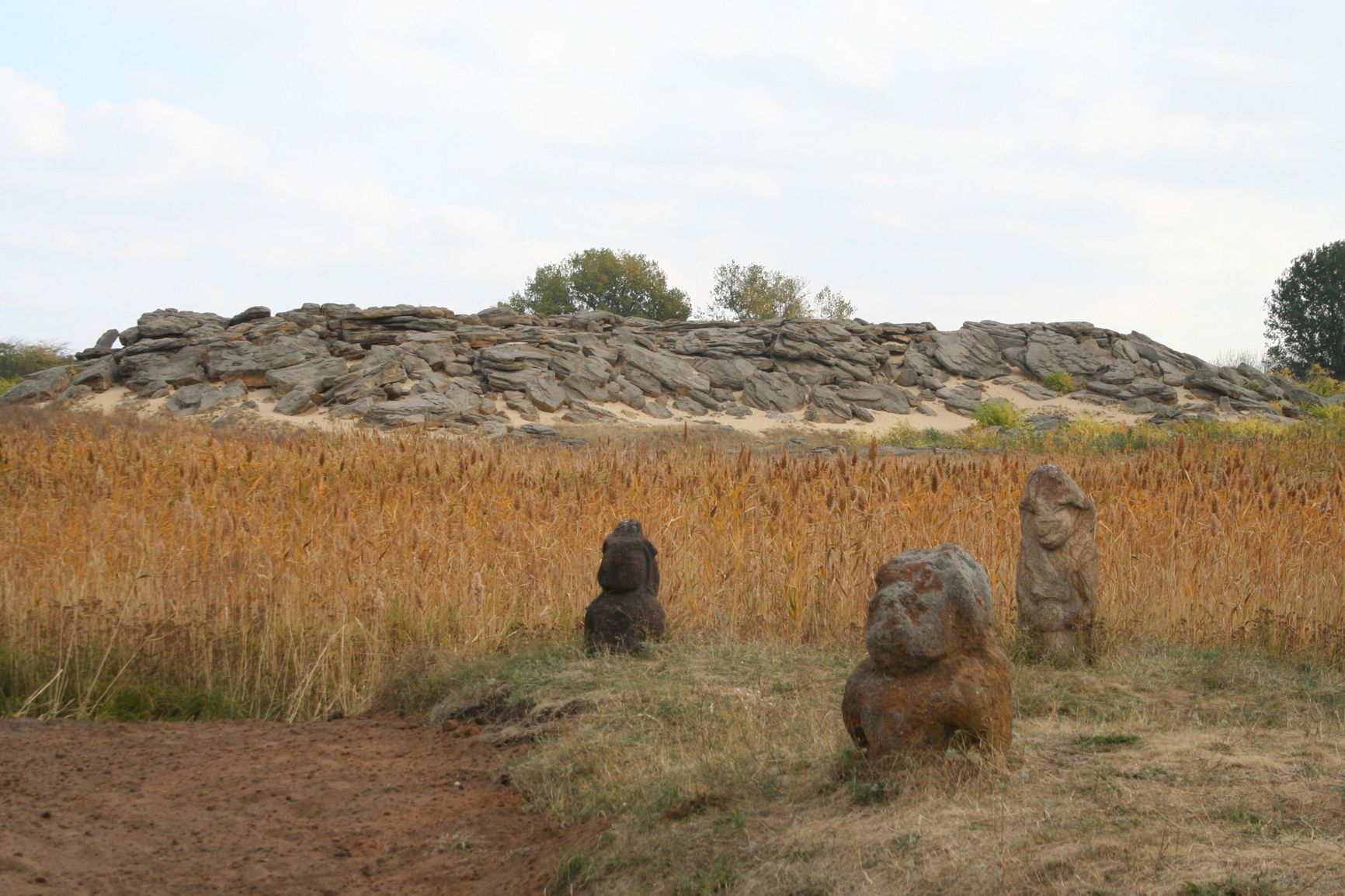 The Kamyana Mohyla open-air museum