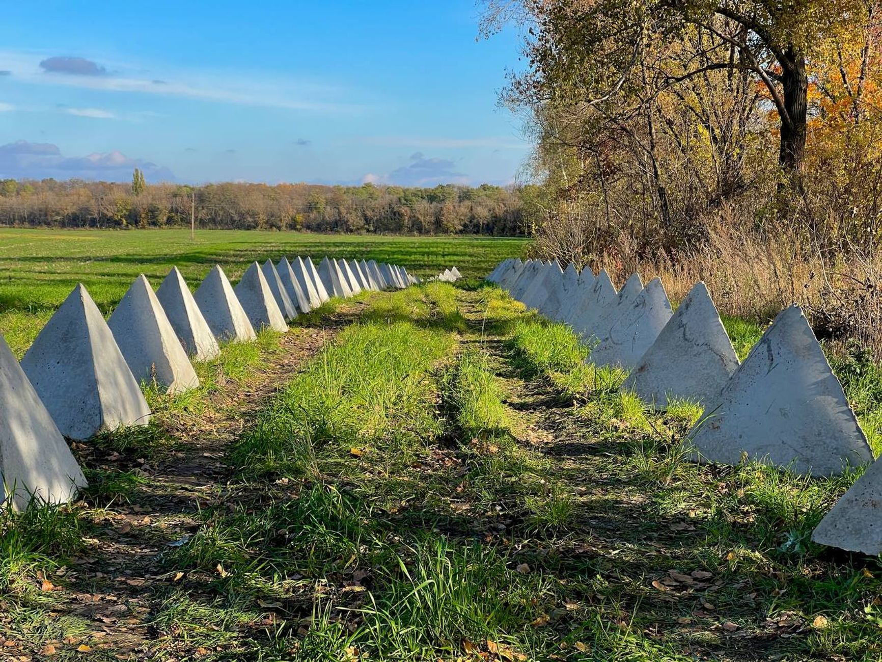 «Засечная черта» в Белгородской области