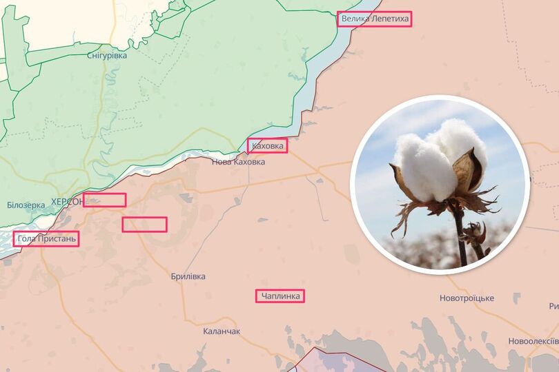 Фото: stopcor.org