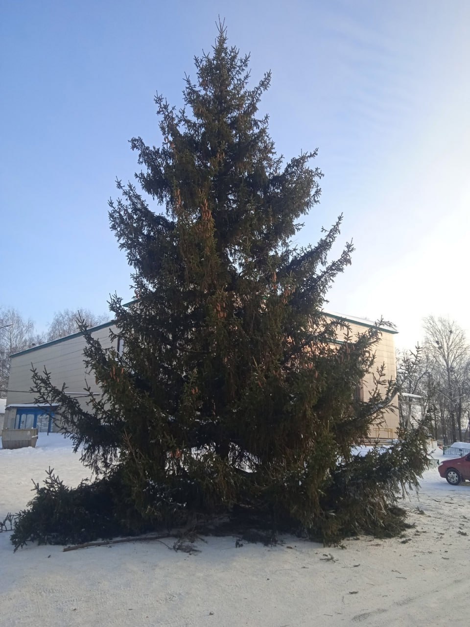 Иллюстрация к материалу