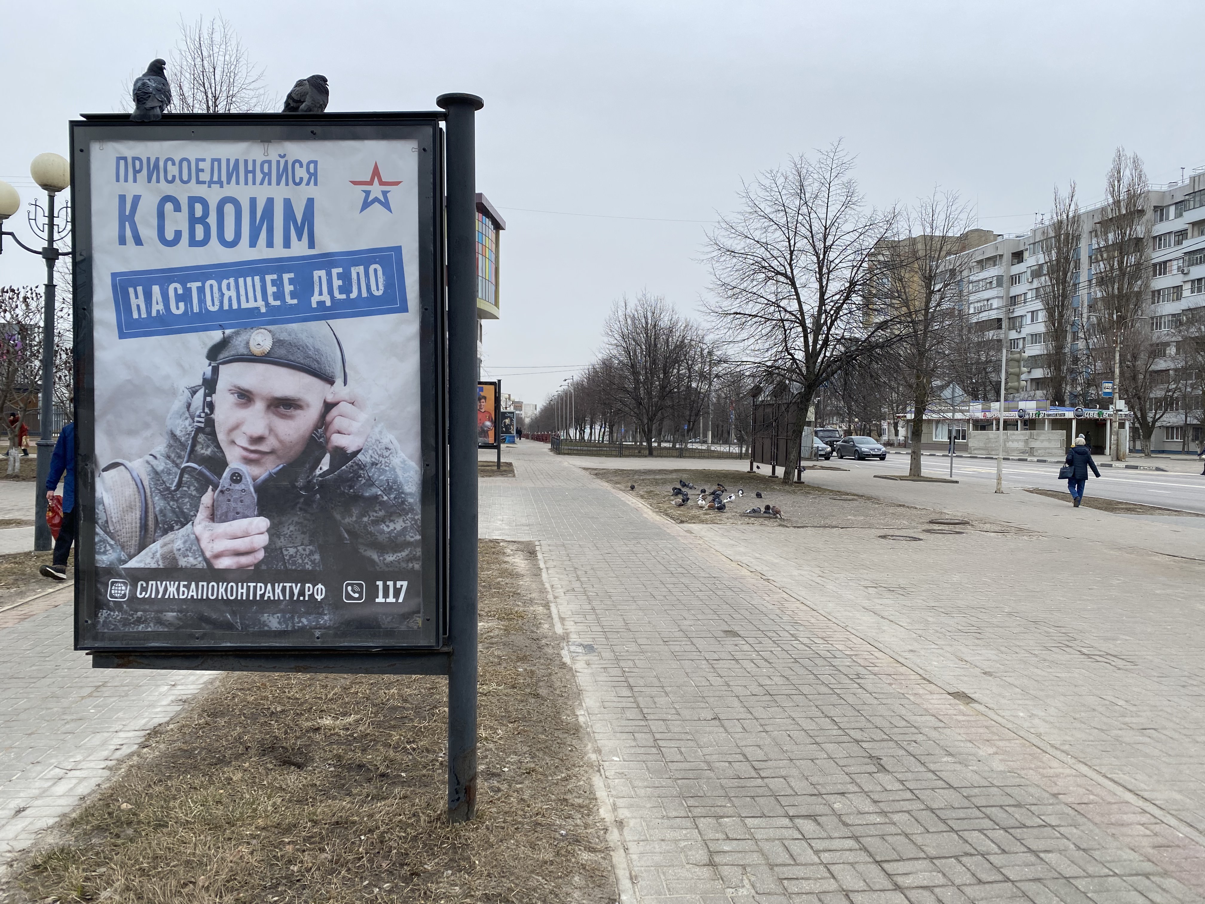 Реклама службы по контракту