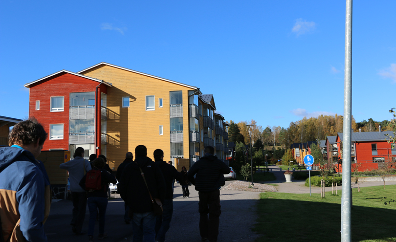 Указ Трампа также сворачивает программу Housing First по предоставлению жилья бездомным