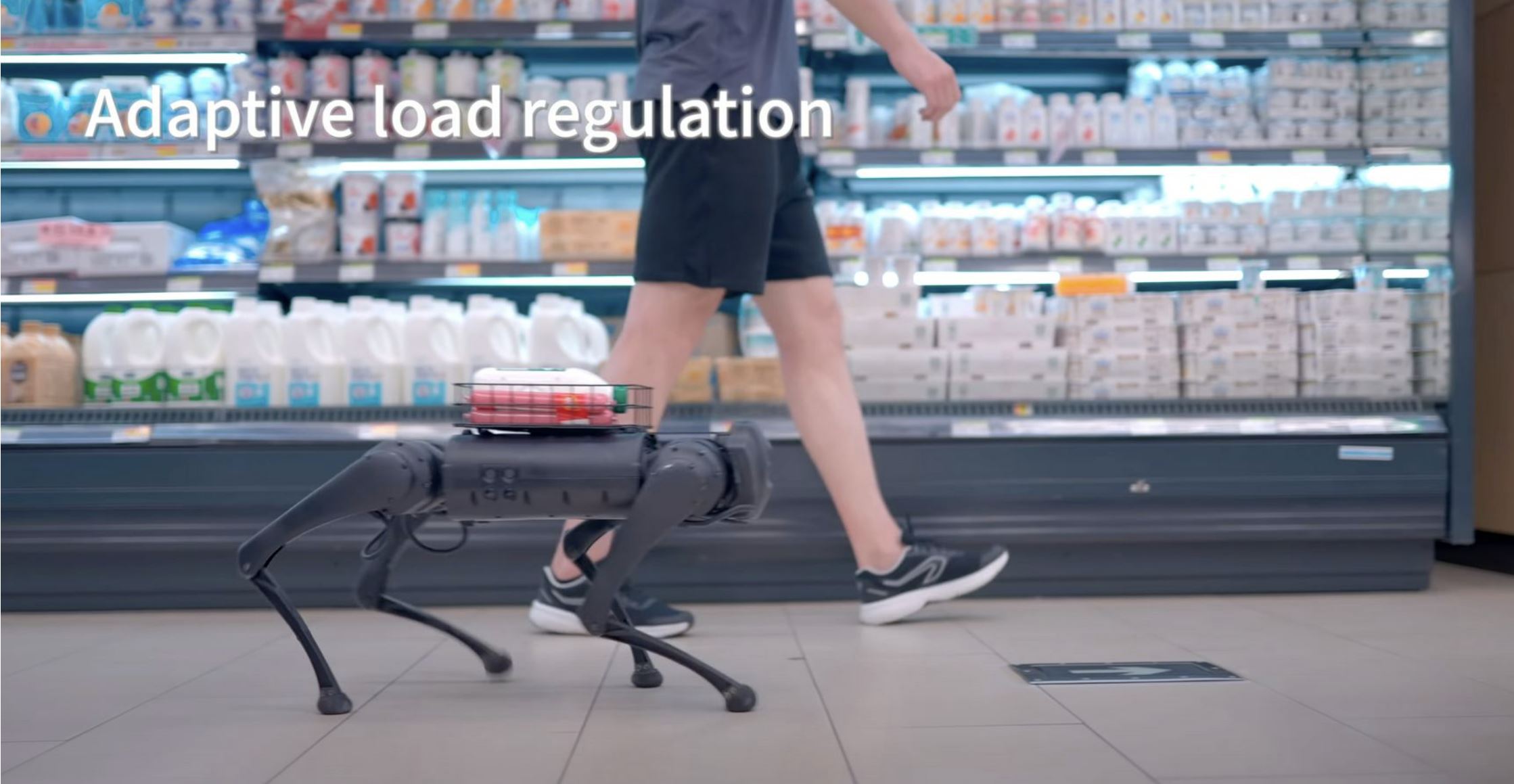 Screenshot: Unitree Robotics / Youtube