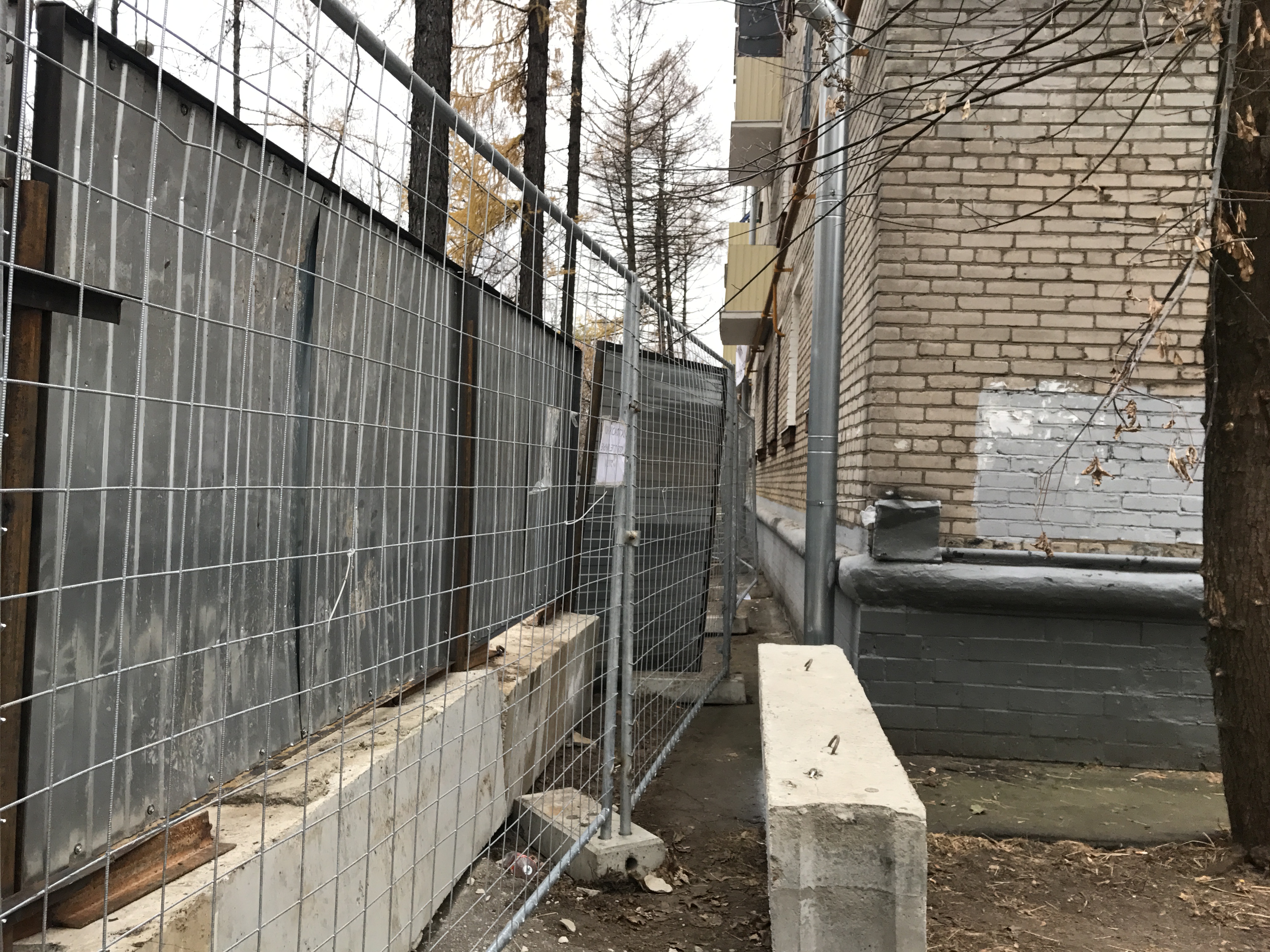 Фото: The Insider