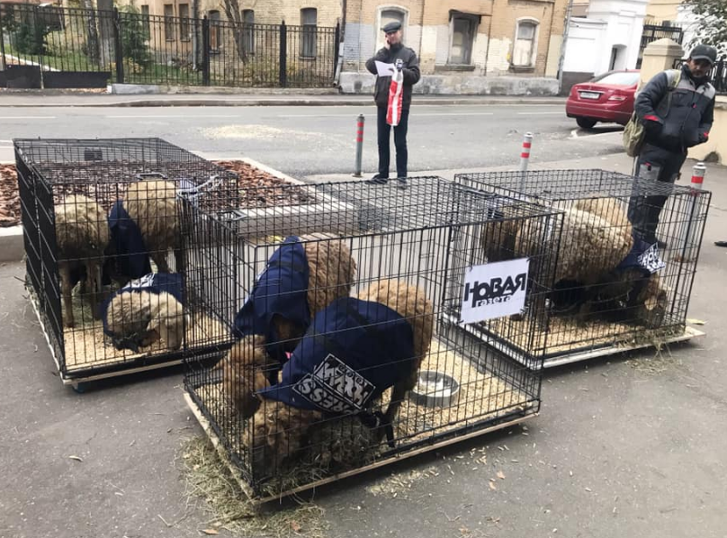 Иллюстрация к материалу