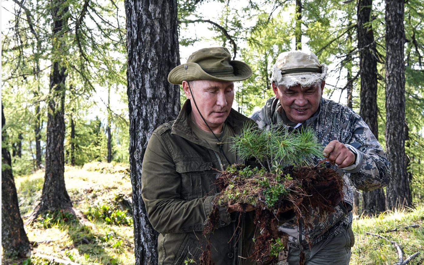 Иллюстрация к материалу