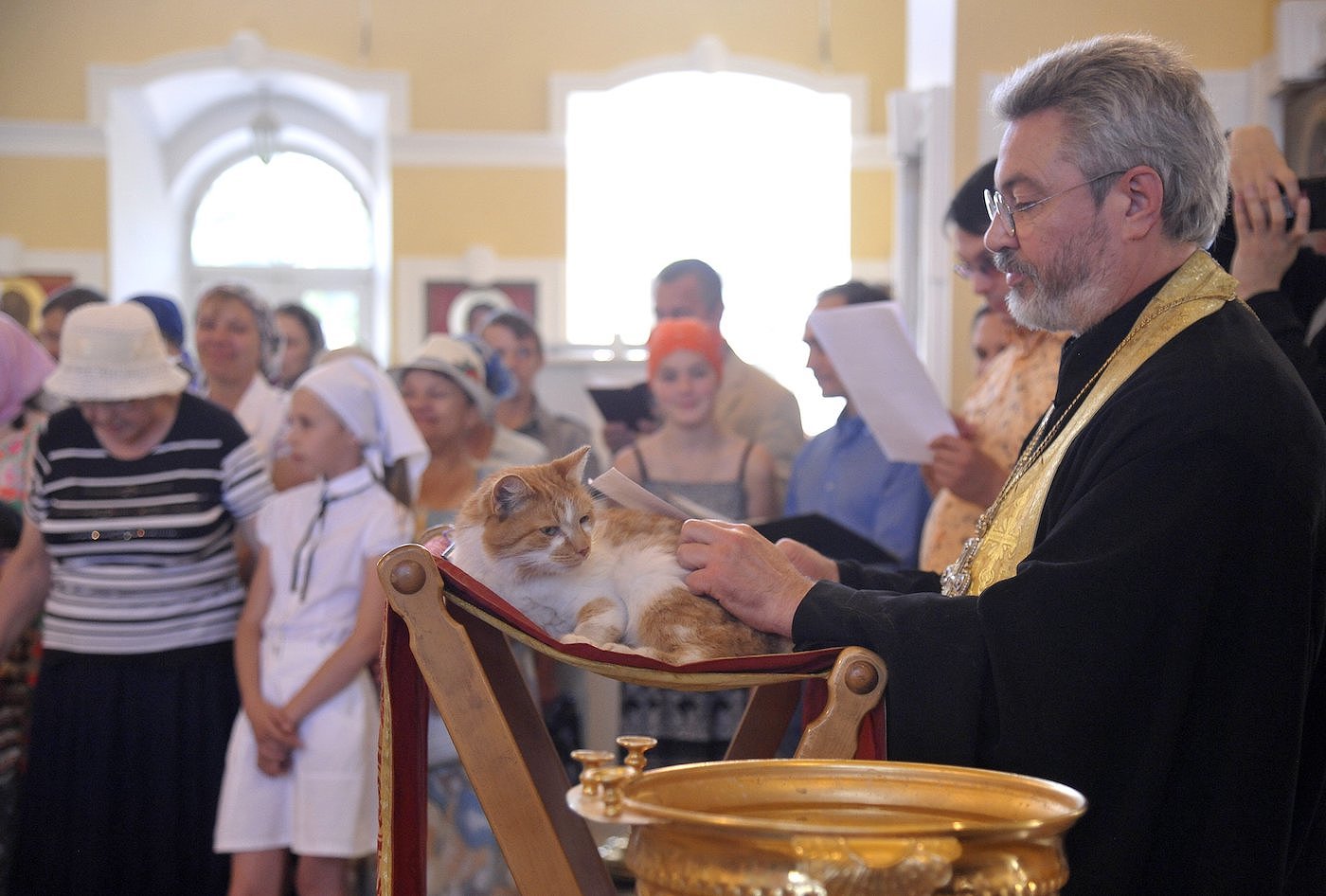 Иллюстрация к материалу