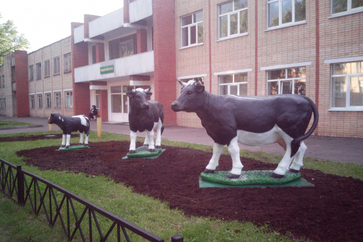 Иллюстрация к материалу