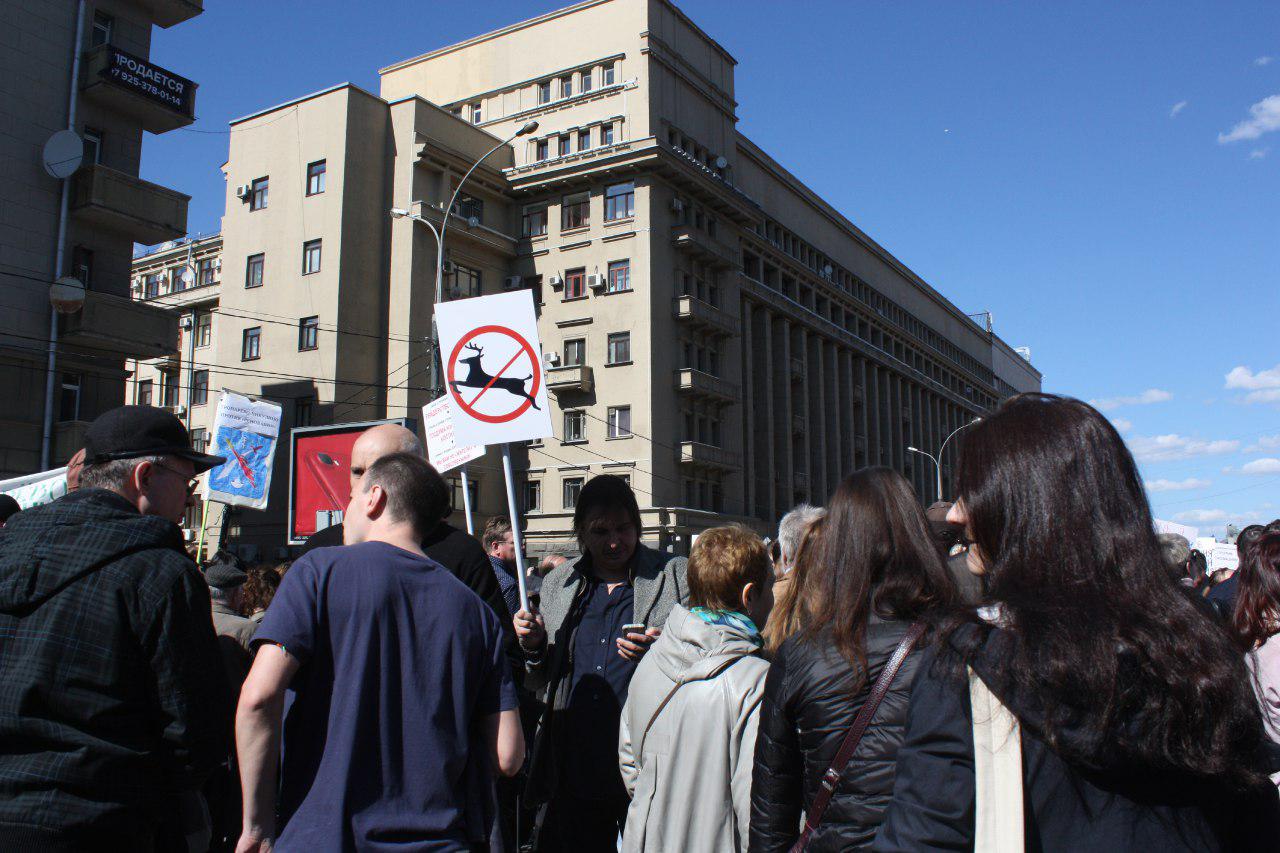 17038768_750021555150824_8934008684706527963_o