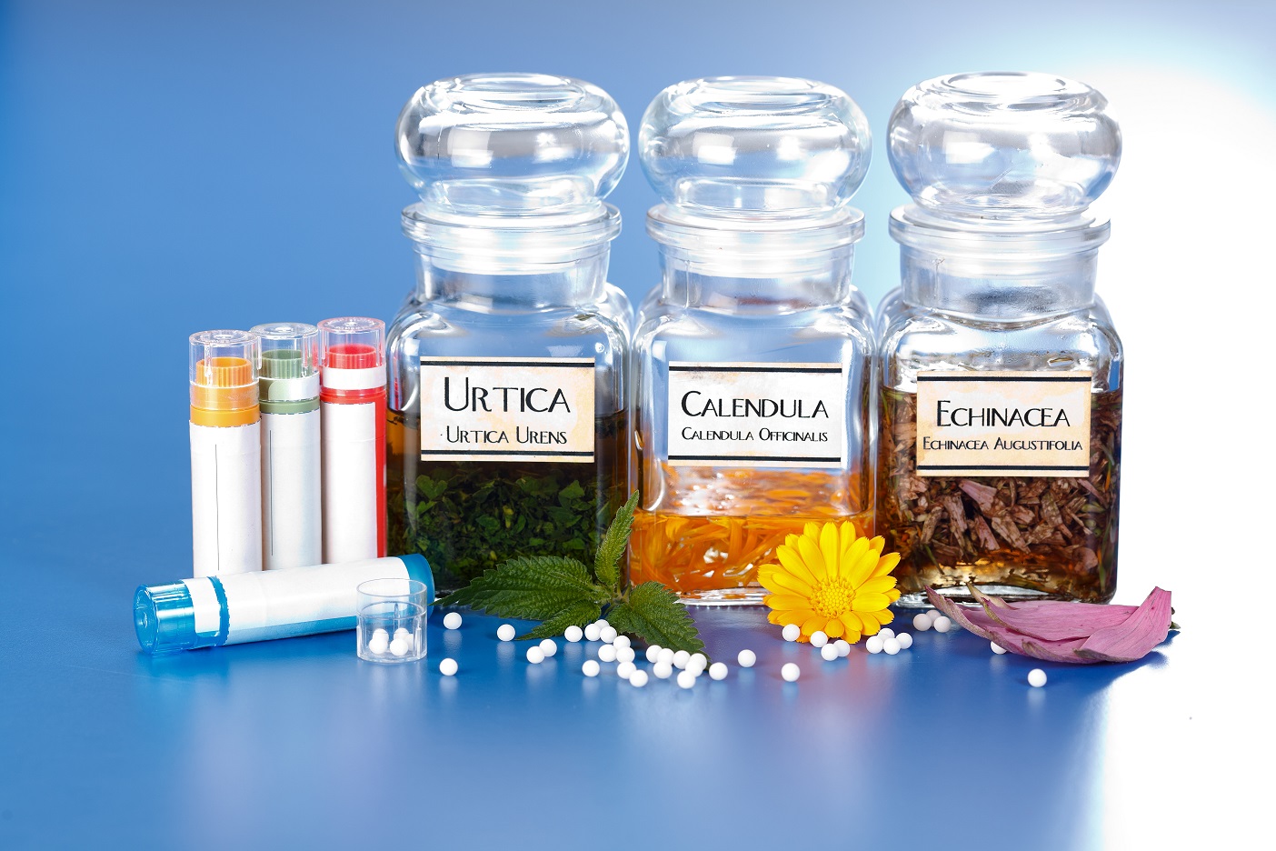 Various plant extract in bottles, Urtica Urens, Calendula Officinalis, Echinacea Angustifolia and homeopathic medication pills in front