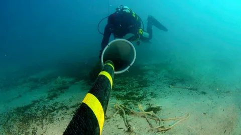 Обнаружено повреждение еще одного кабеля в Балтийском море