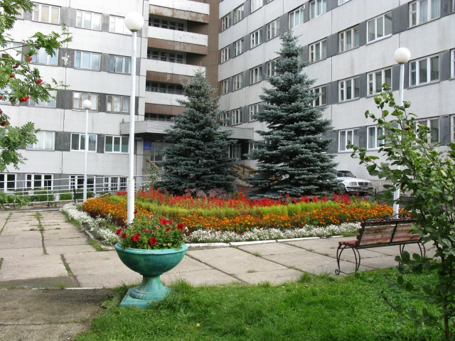 Иллюстрация к материалу