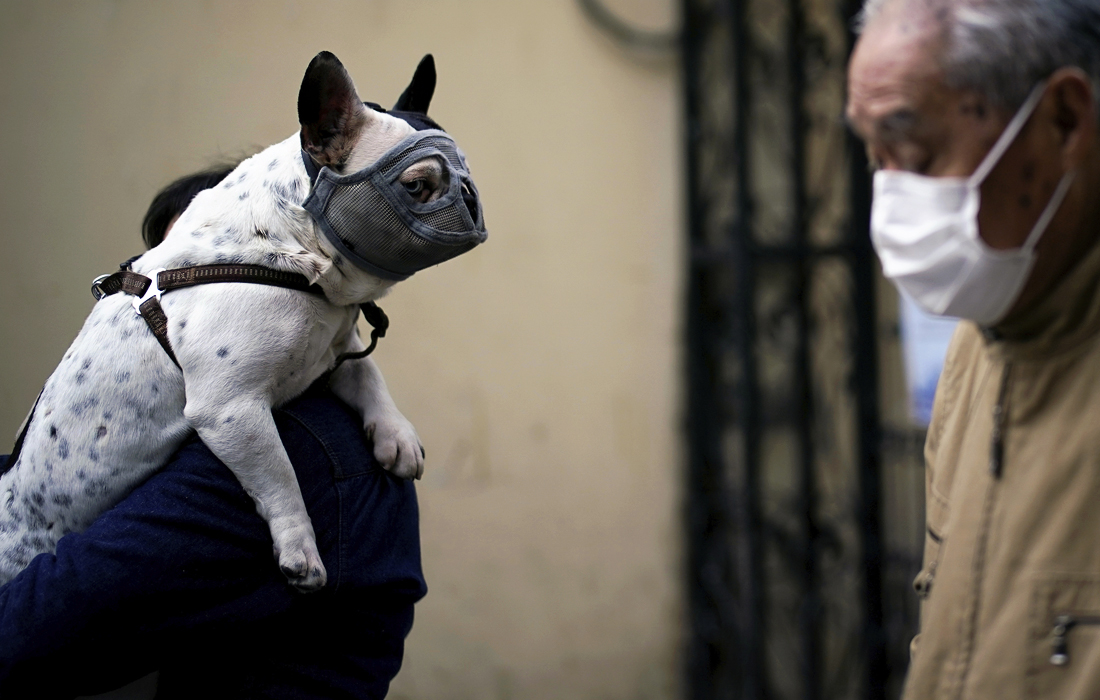 Иллюстрация к материалу