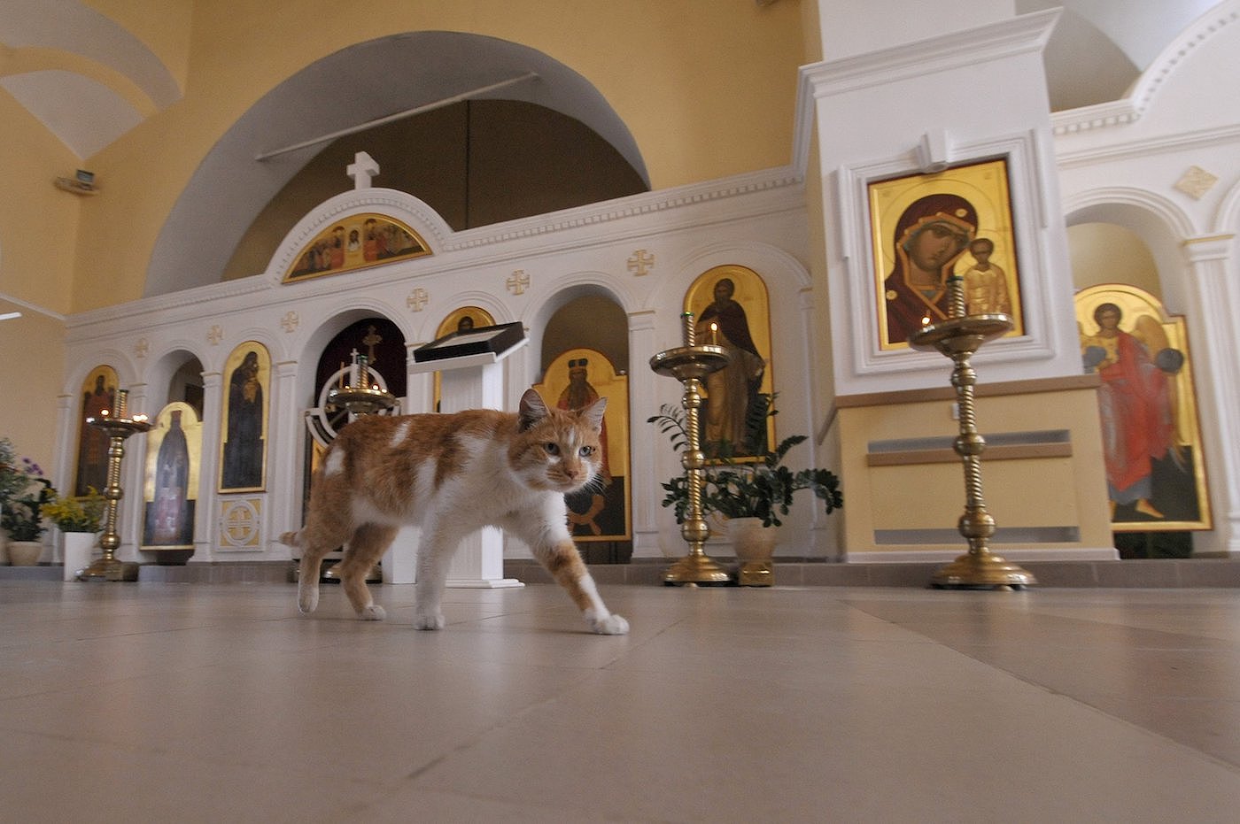 Иллюстрация к материалу