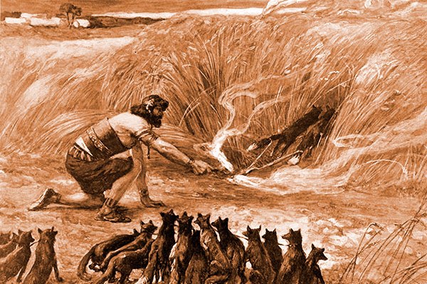 Иллюстрация к материалу