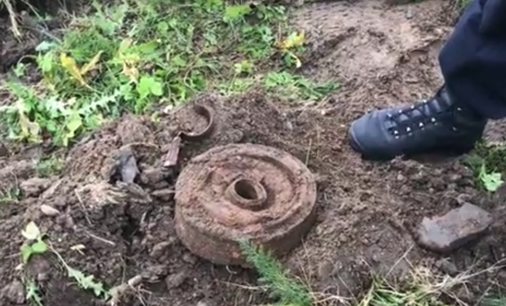 Иллюстрация к материалу