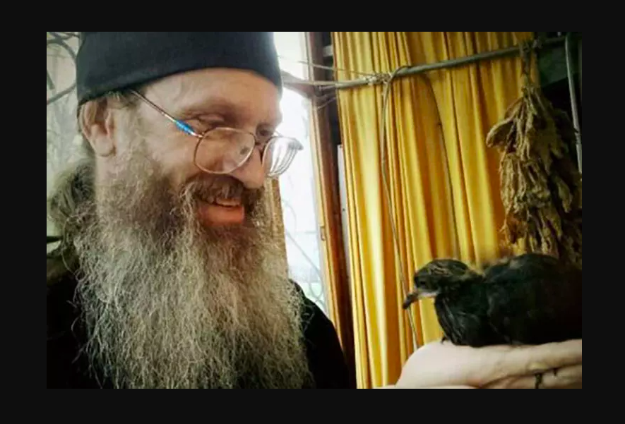 Иллюстрация к материалу