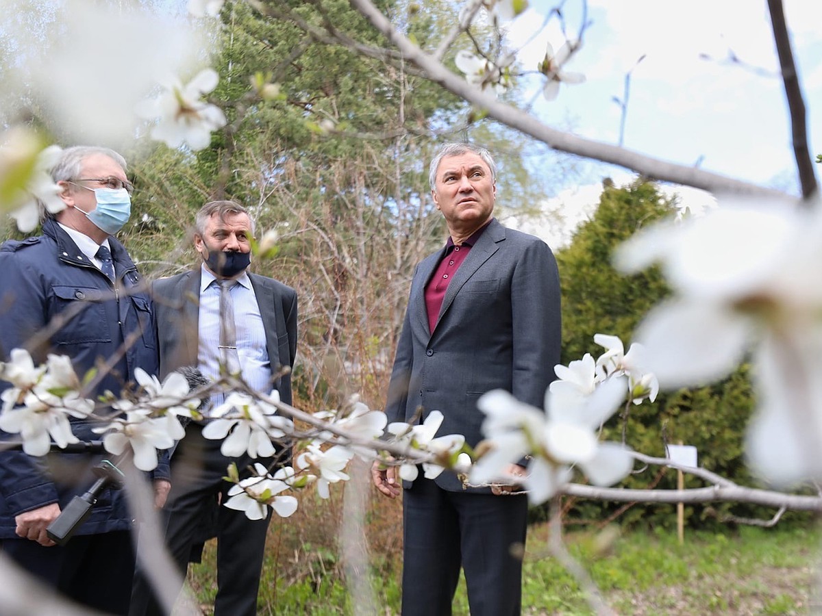 Иллюстрация к материалу