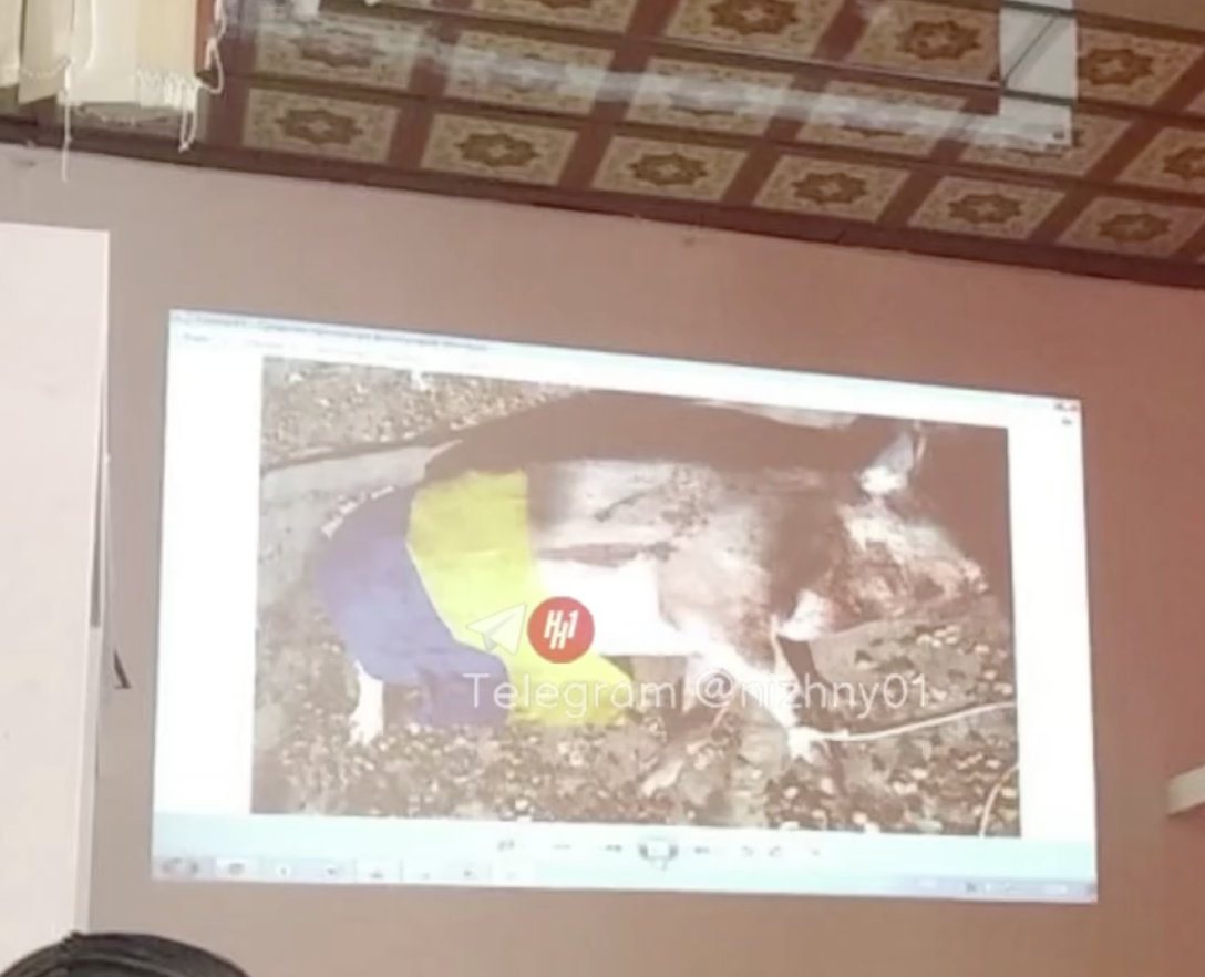 Иллюстрация к материалу