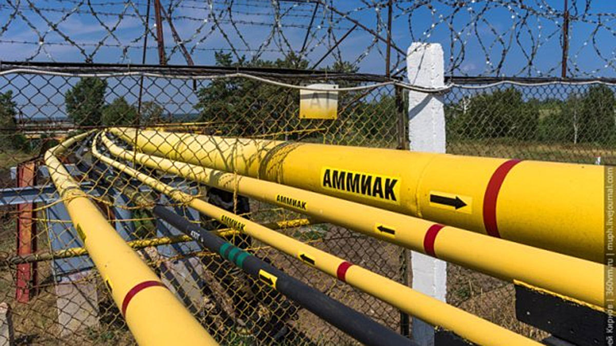 Иллюстрация к материалу