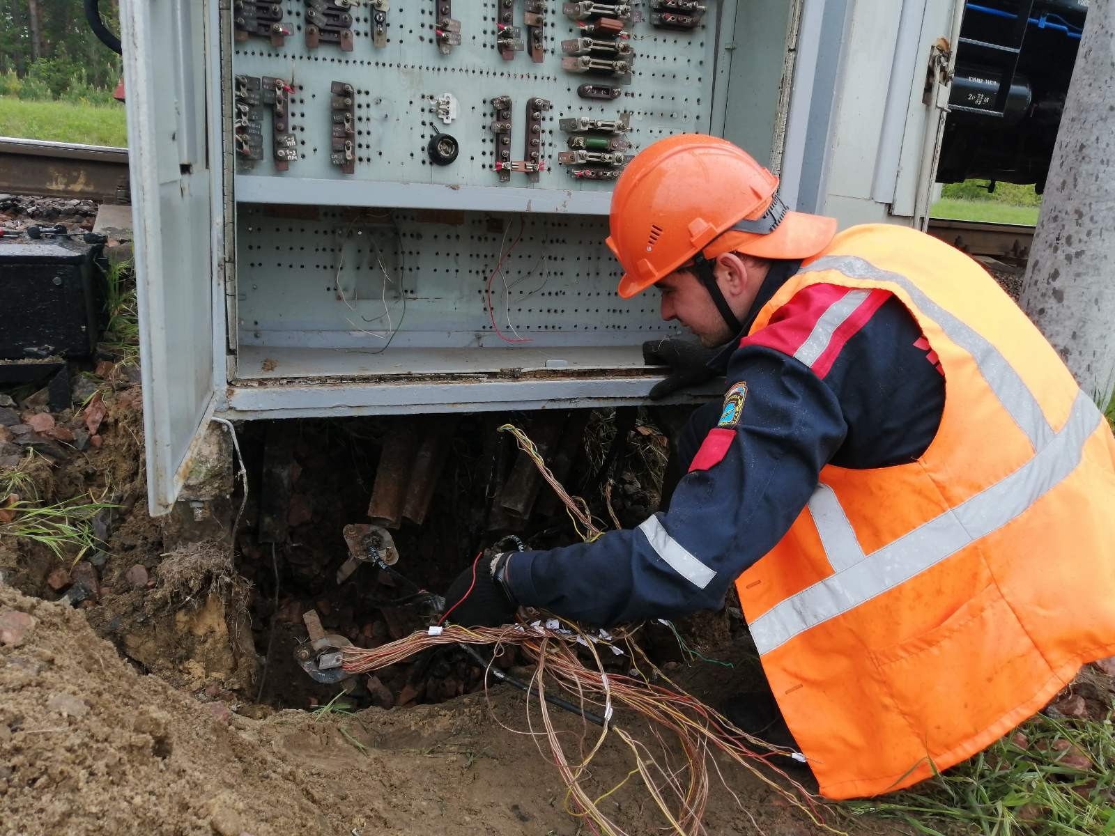 Иллюстрация к материалу