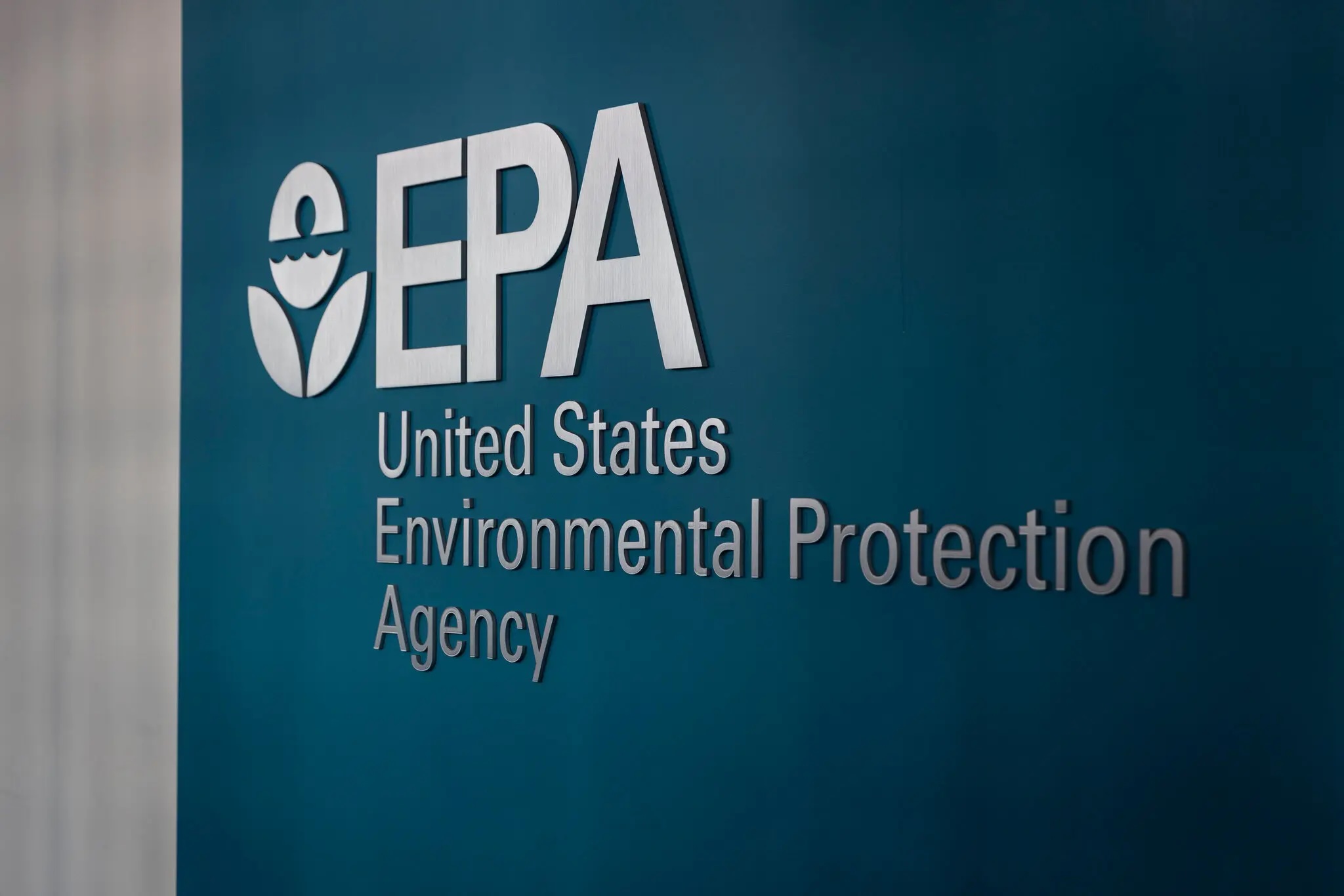 Фото: Moriah Ratner for The New York Times