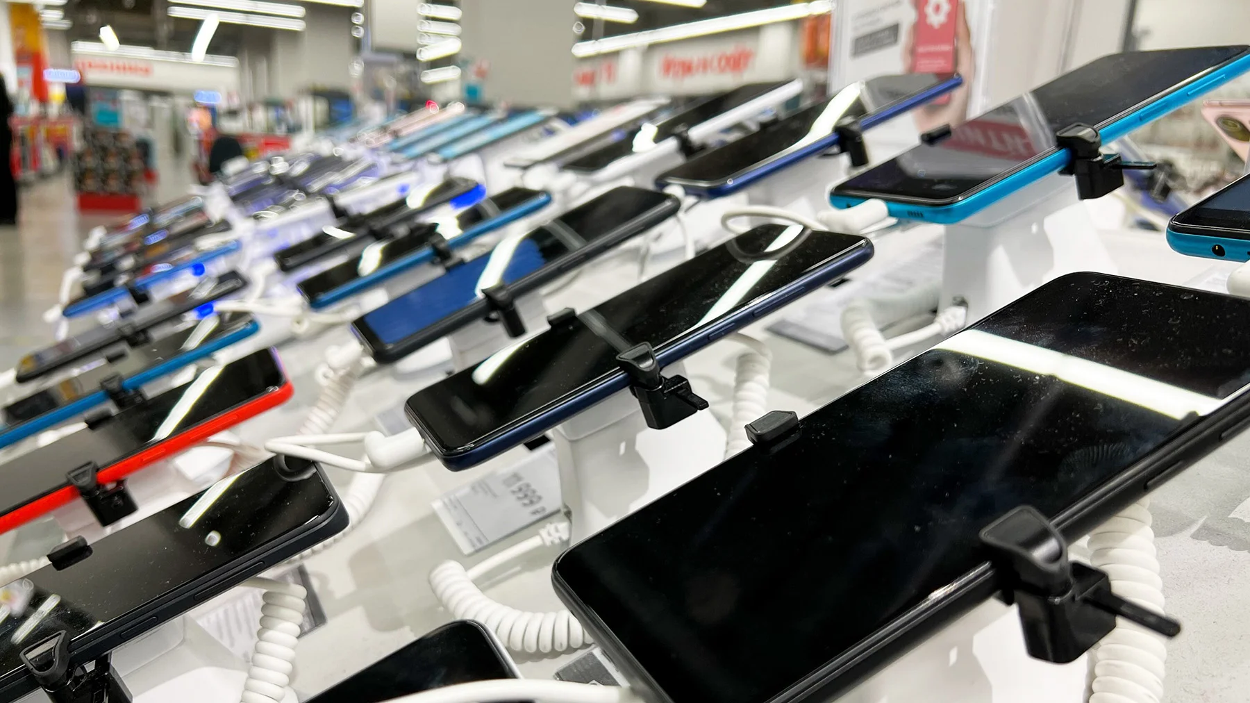 Фото: агентство «Москва»