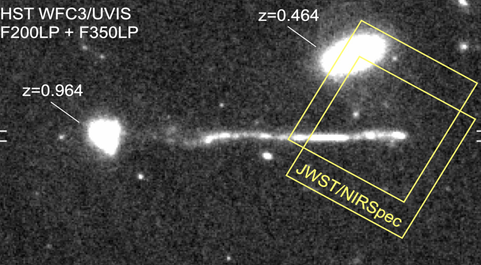 Фото: Pieter van Dokkum et al. / arXiv, 2025