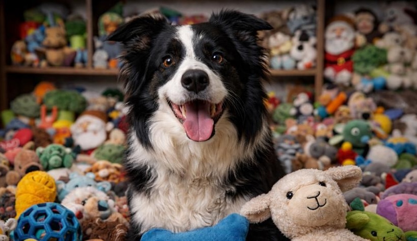 Фото: Мария Круглова