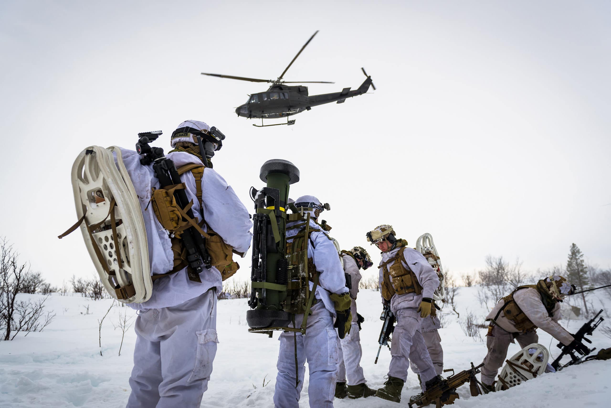 Фото: Forsvaret (Вооруженные силы Норвегии)