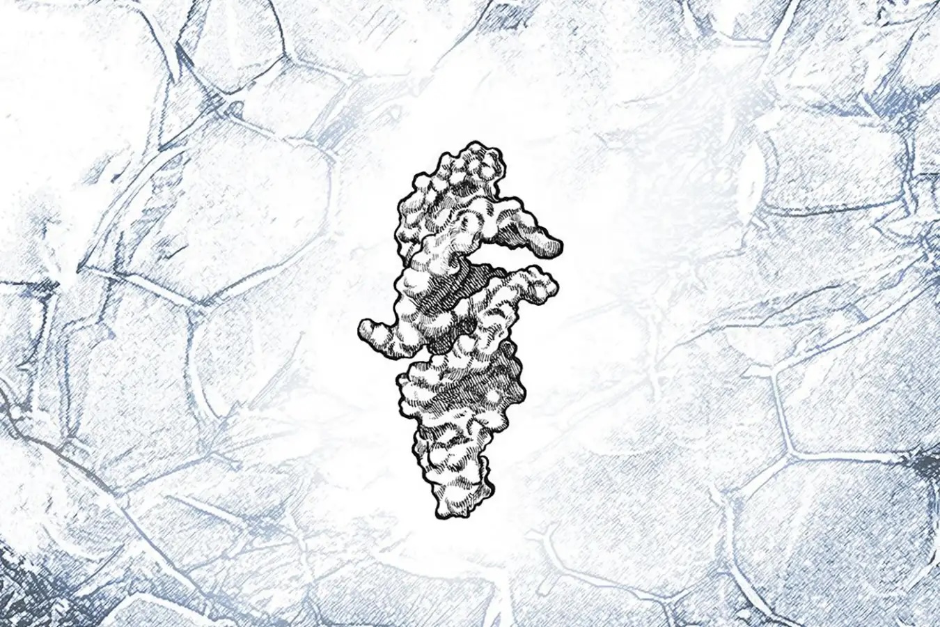 Фото: Elfy Chiang, microscopy image by James Attwater