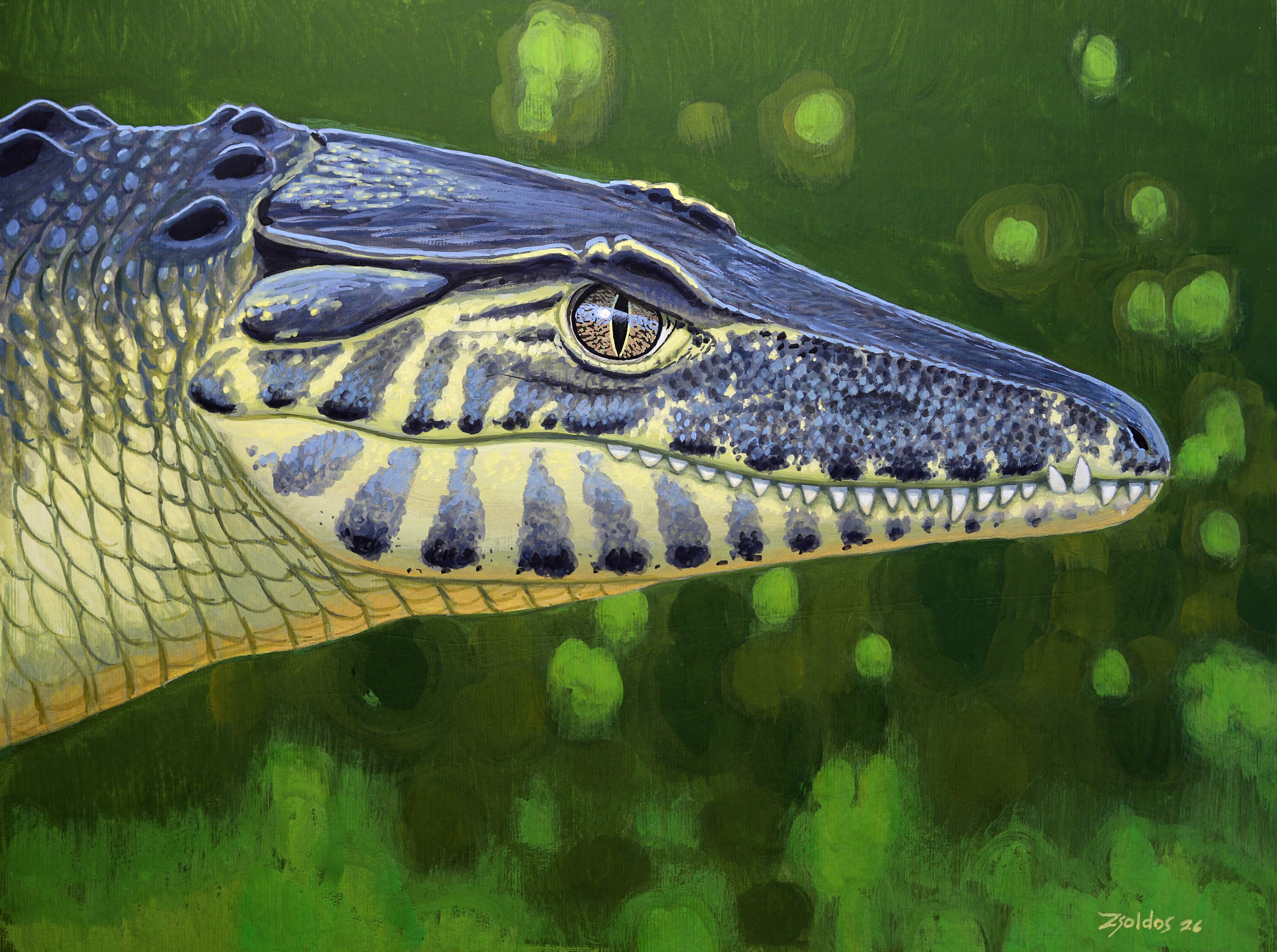 Фото: Márton Zsoldos