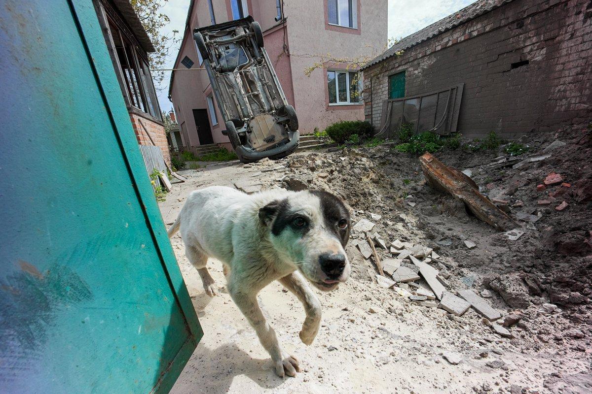 Фото: Sergey Kozlov / EPA