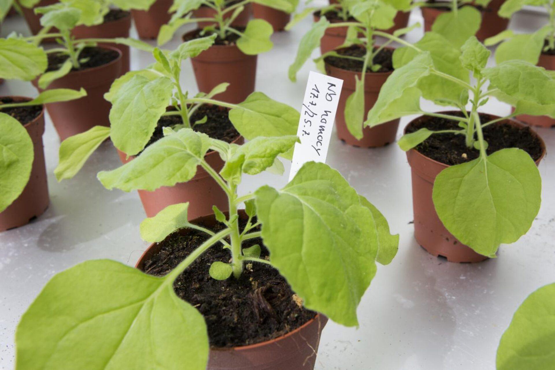 Фото: REUTERS/Axel Schmidt