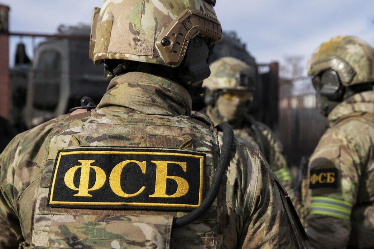 ФСБ задержала в Псковской области гражданина Швеции, воевавшего за ВСУ