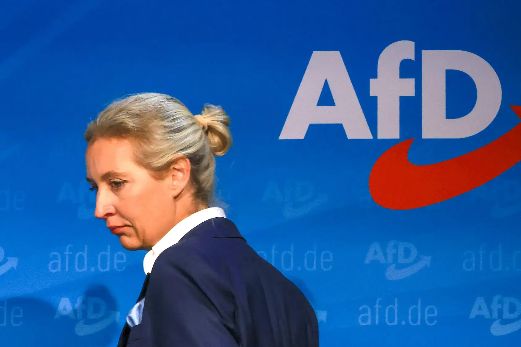 Bild сообщила о хакерской атаке на почту партии «Альтернатива для Германии»