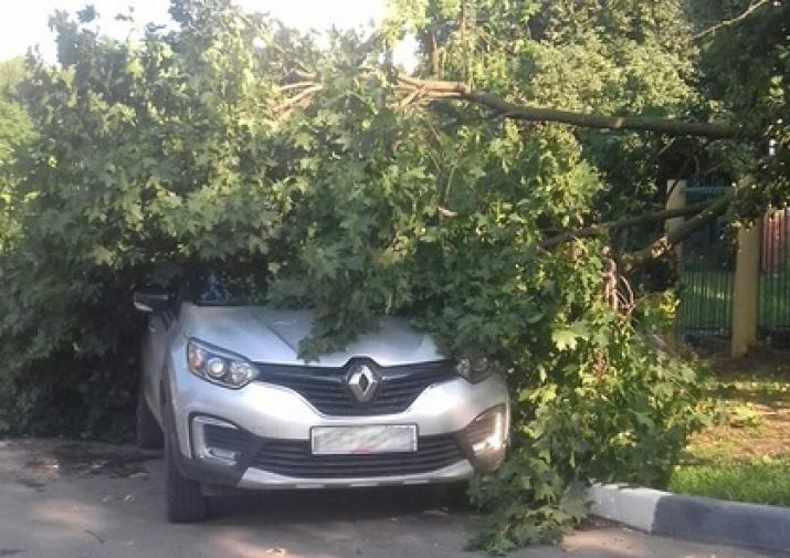 Иллюстрация к материалу