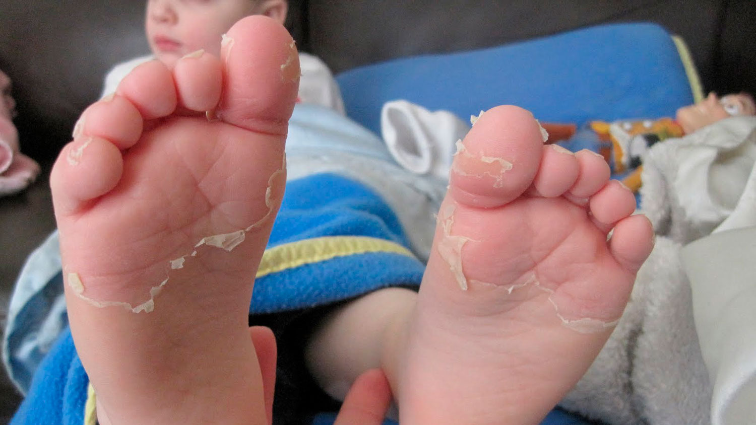 Иллюстрация к материалу